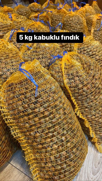 Kabuklu Fındık Giresun 3 KG Filede